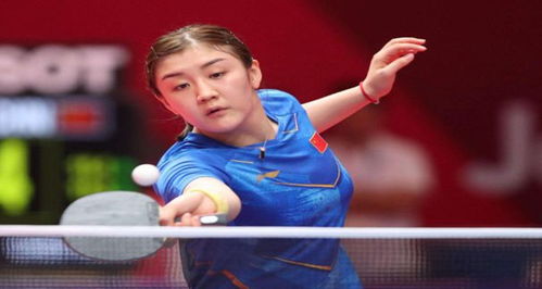 在比利亚雷 在比利亚雷