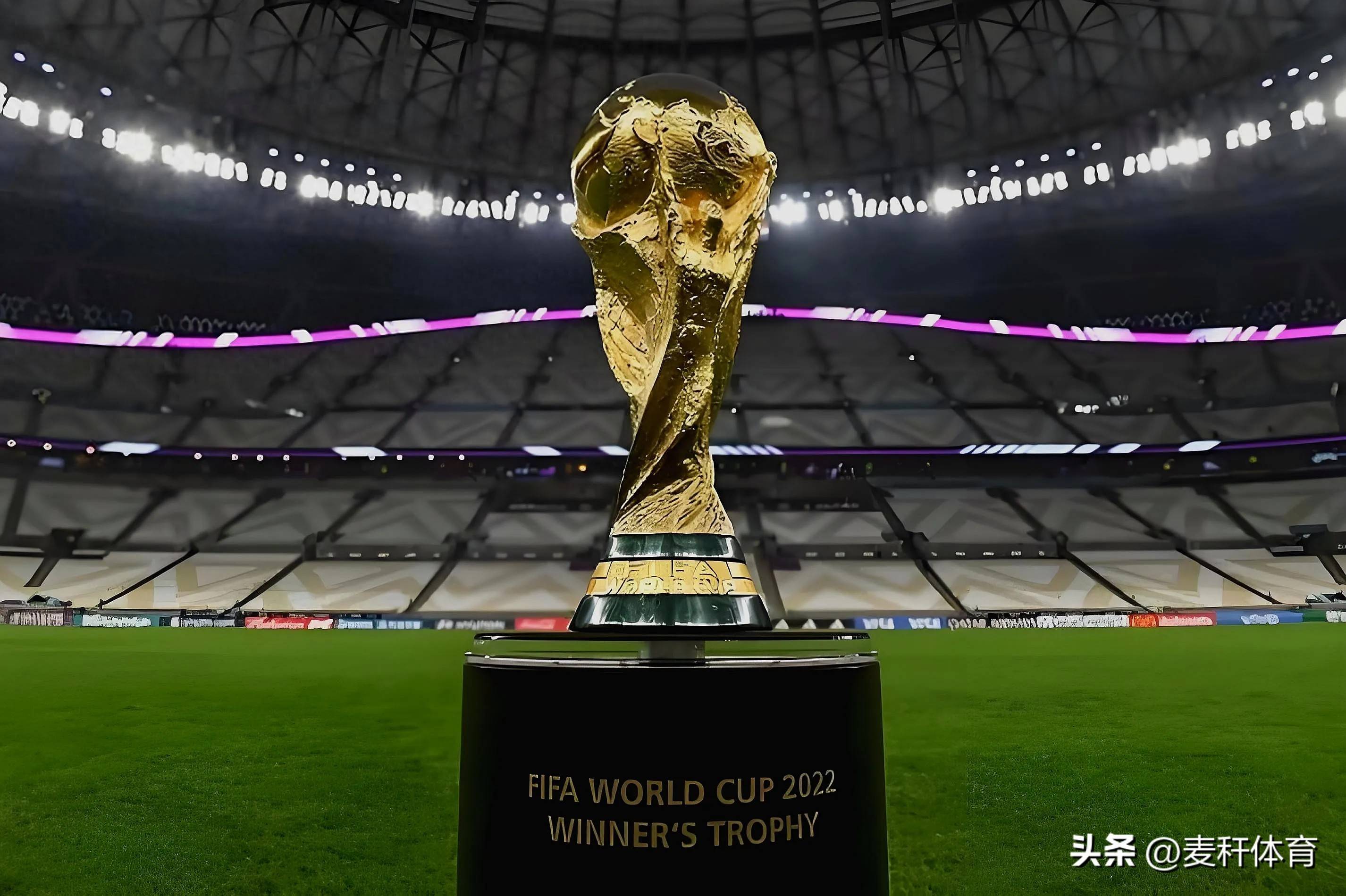 猛龙赢在预 猛龙赢在预